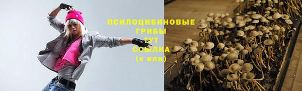 МДПВ Армянск