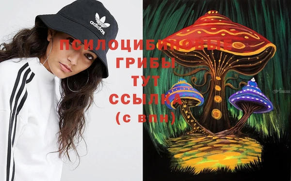 МДПВ Армянск