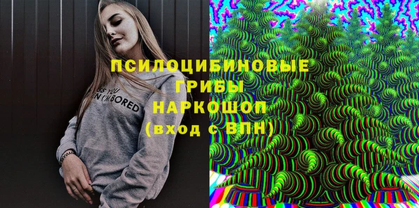 МДПВ Армянск