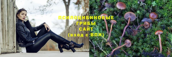 mdpv Ельня